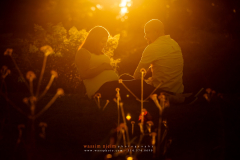 © Wassim Njeim Photography - www.wassphoto.com