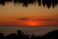 Sunset with the palapas in the foreground