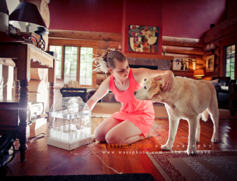 Getting ready - Bride with her dog
