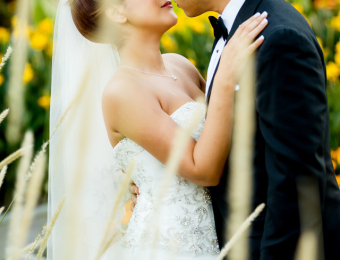 © Wassim Njeim Photography - www.wassphoto.com