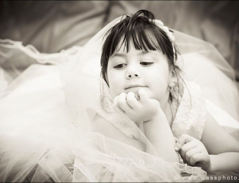 wassphoto_467_lowres-2