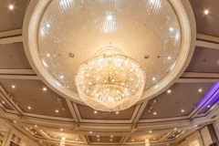 1236839_10152084327032991_1070960625_n_10152084327032991