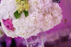 13734939_10153926363152991_1199250431296502413_o_10153926363152991