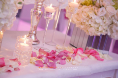 13734944_10153926369567991_9032842886680890676_o_10153926369567991