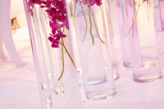 13735598_10153926368097991_7776145963090332119_o_10153926368097991