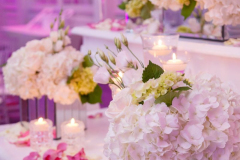 13738196_10153926364597991_5894396898120469776_o_10153926364597991