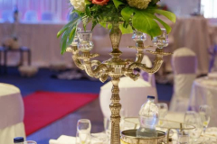 1501794_10152084298107991_1403566797_n_10152084298107991