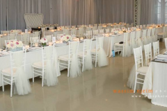 1531660_10152084257322991_981647340_n_10152084257322991