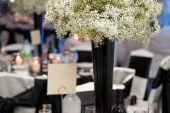 1959301_10152084274252991_96724672_n_10152084274252991