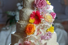 1970393_10152084326877991_303291592_n_10152084326877991