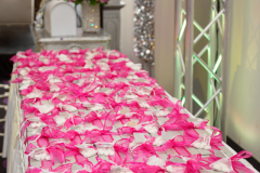 wassphoto-EvanthiaBryan-0451