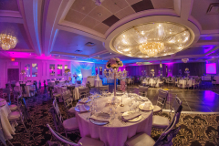 wassphoto-NancyRamzy-0501