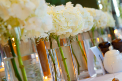 © Wassim Njeim Photography - www.wassphoto.com