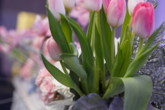 wassphoto-ValessaRami-Wedding-0773