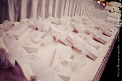 wassphoto-amandajeanwedding-0774