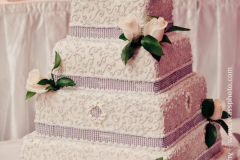 wassphoto-amandajeanwedding-0800