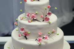 © Wassim Njeim Photography - www.wassphoto.com