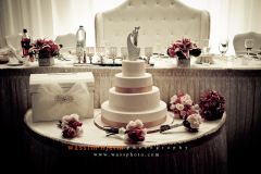 © Wassim Njeim Photography - www.wassphoto.com