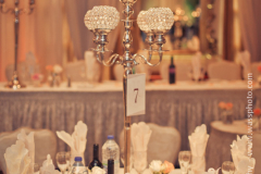 wassphoto-sandramackennywedding-0474