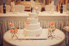 wassphoto-sandramackennywedding-0475