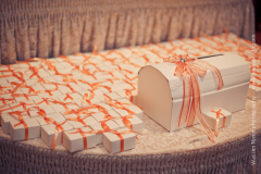 wassphoto-sandramackennywedding-0478