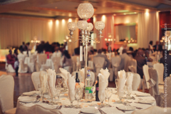 wassphoto-sandramackennywedding-0479