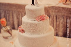 wassphoto-sandramackennywedding-0489