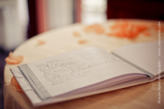 wassphoto-sandramackennywedding-0492