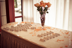 wassphoto-sandramackennywedding-0493