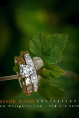 Wedding rings on leaf