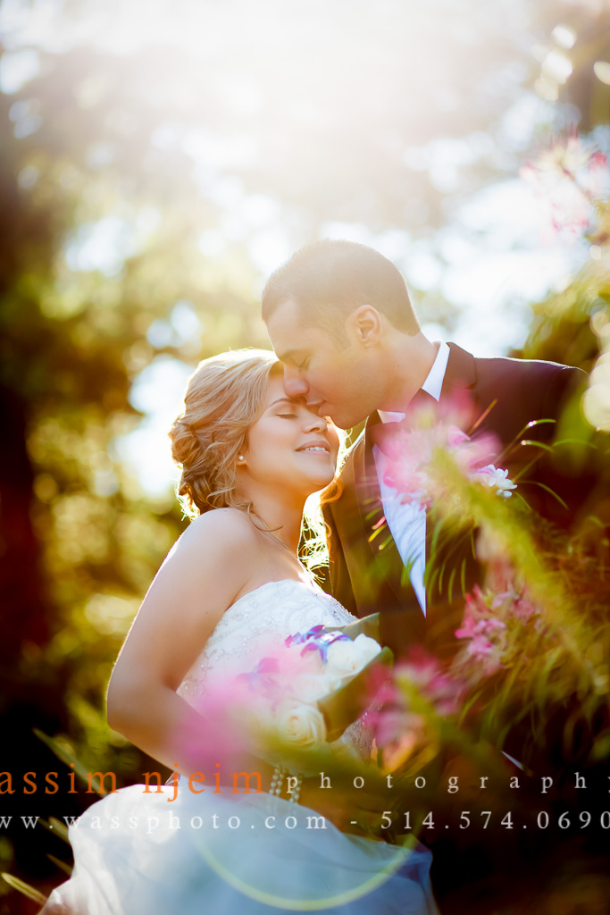 Couple kissing under sun flare Montreal