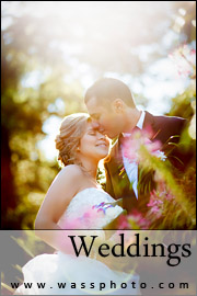 Wedding photographers services Montreal