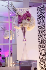 © Wassim Njeim Photography - www.wassphoto.com