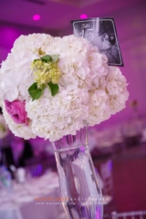 © Wassim Njeim Photography - www.wassphoto.com