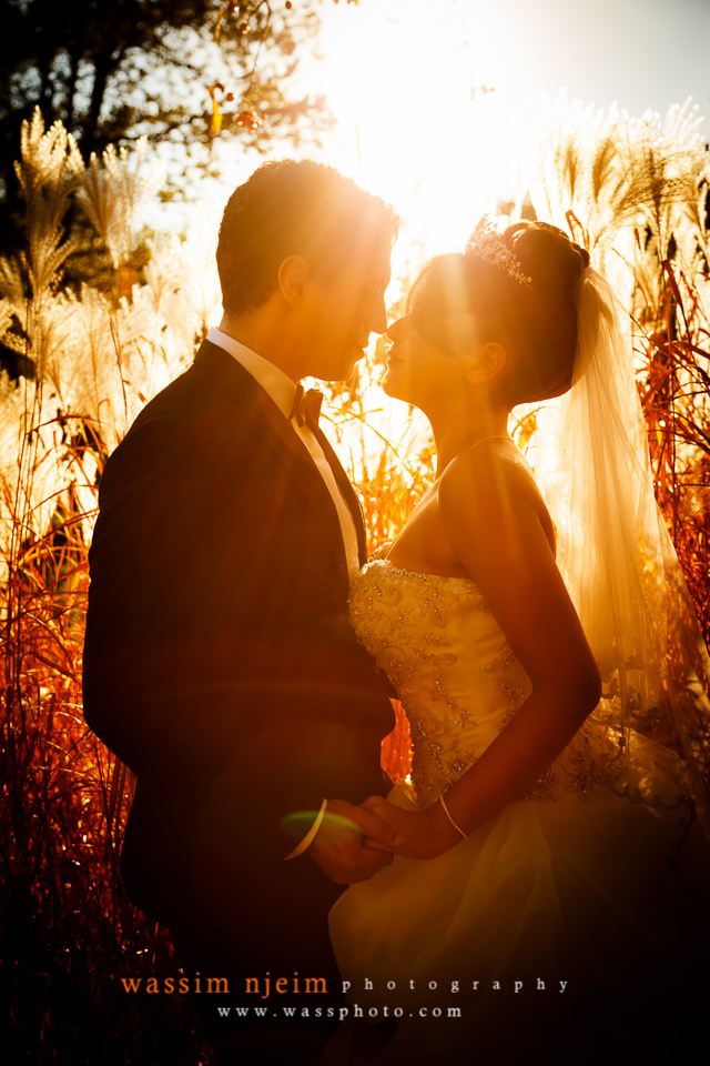 © Wassim Njeim Photography - www.wassphoto.com