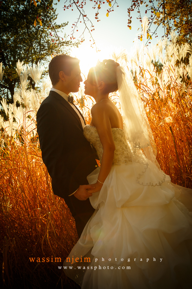 © Wassim Njeim Photography - www.wassphoto.com