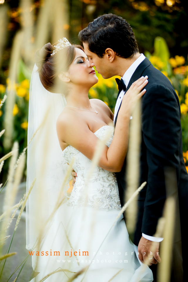 © Wassim Njeim Photography - www.wassphoto.com