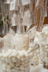 wassphoto-kimbrianwedding-0758