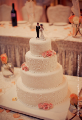 wassphoto-sandramackennywedding-0489
